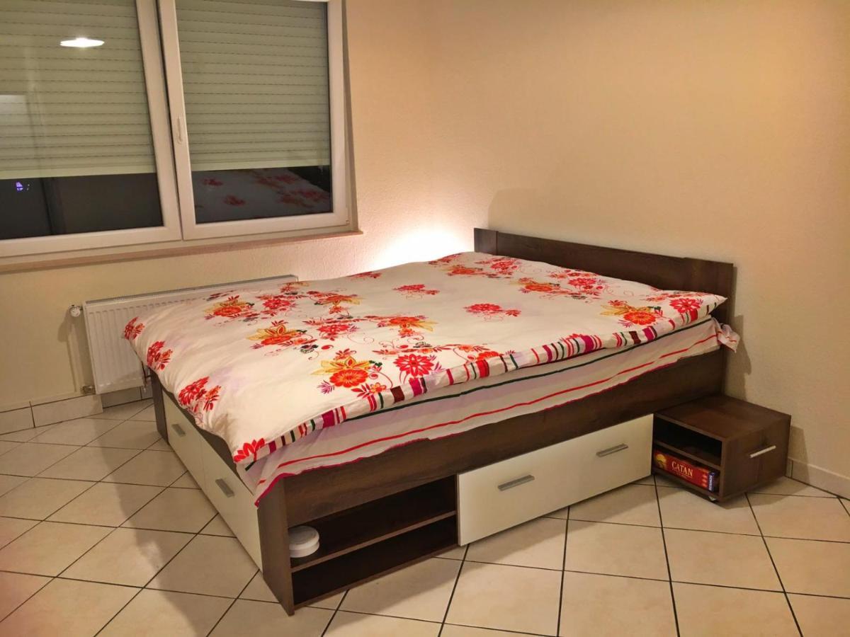 Cozy Studio Apart - King Bed - Netflix - Projector - Fast Wi-Fi Luxemburgo Exterior foto